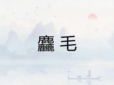 麤毛 麤毛