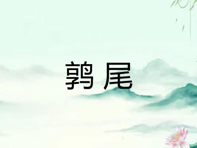 鹑尾