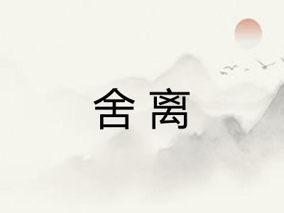 舍离