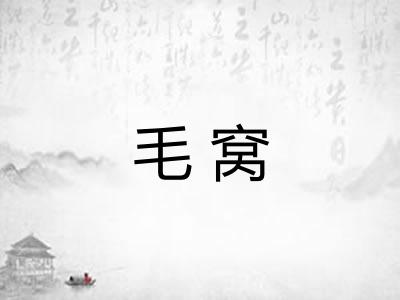 毛窝