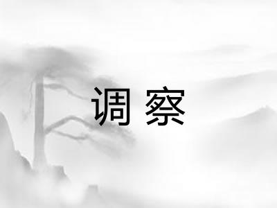 调察 调察