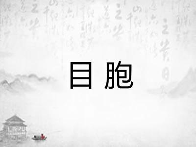 目胞 目胞