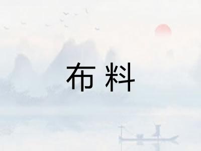 布料 布料