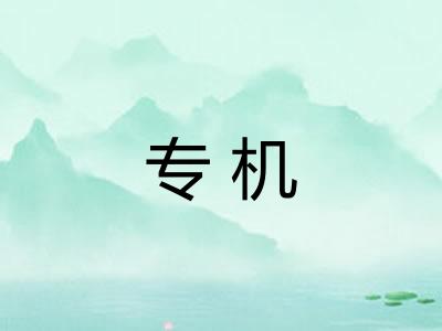 专机