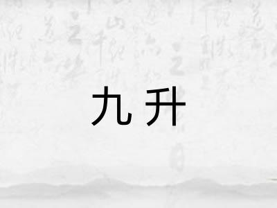 九升