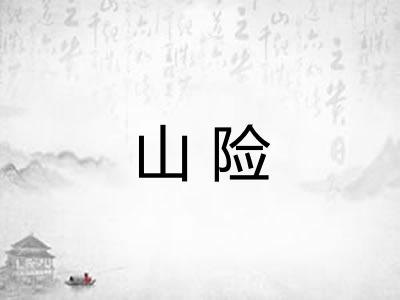 山险 山险