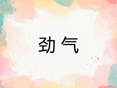 劲气 劲气