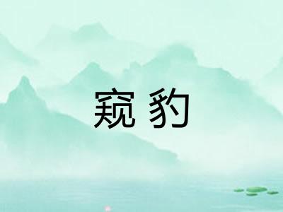 窥豹
