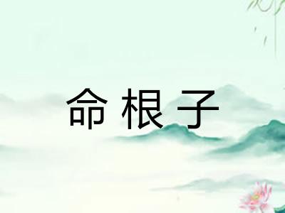 命根子