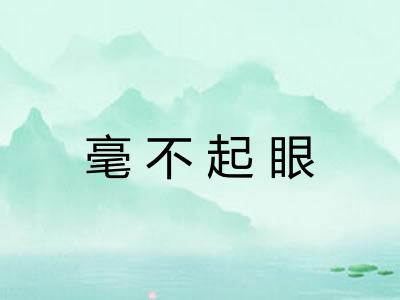 毫不起眼