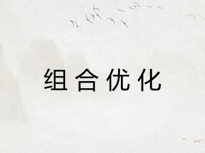 组合优化 组合优化