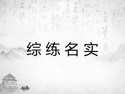 综练名实 综练名实