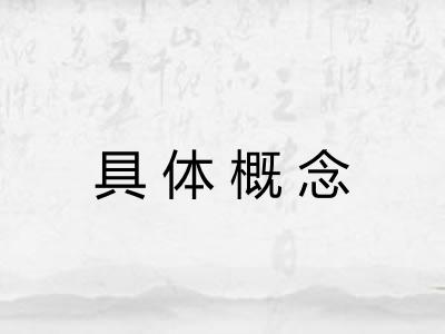 具体概念
