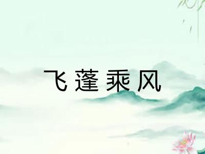 飞蓬乘风 飞蓬乘风