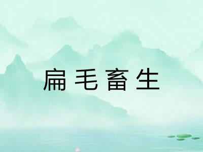 扁毛畜生 扁毛畜生