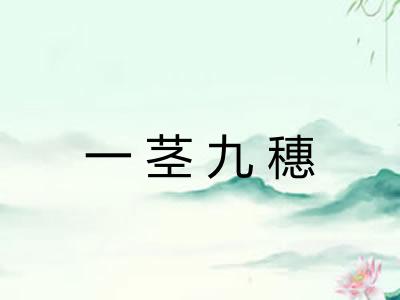 一茎九穗