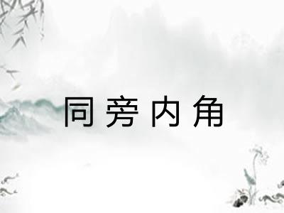 同旁内角 同旁内角