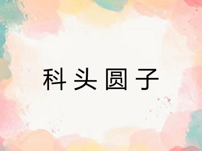 科头圆子 科头圆子