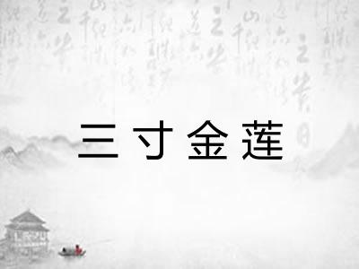 三寸金莲 三寸金莲