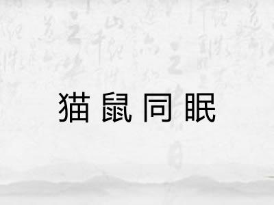 猫鼠同眠 猫鼠同眠