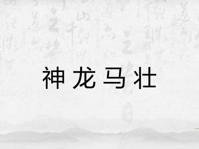 神龙马壮